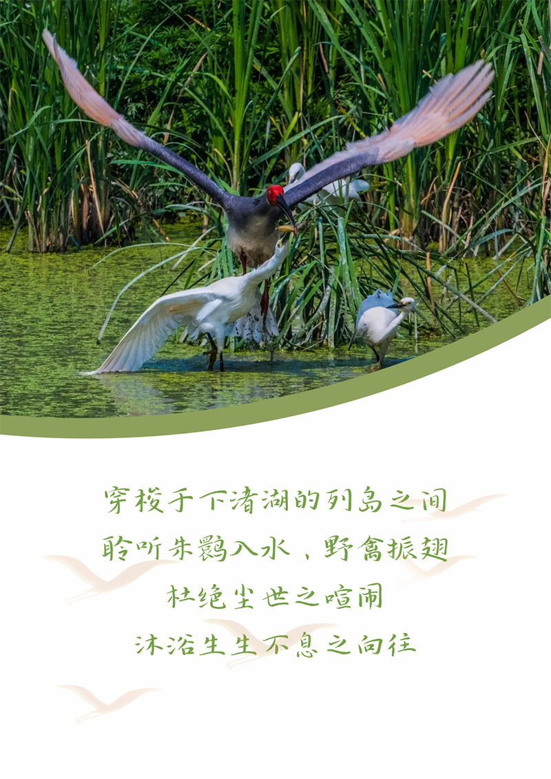 心心念廿 相伴威尼斯人 | 与德清相约 贺廿载诞辰