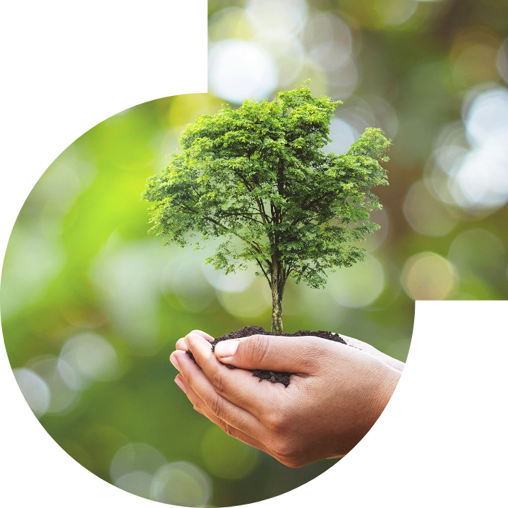 關懷人類、文化、環境與社會